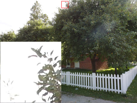 CA (Purple Fringing)