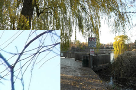 CA (Purple Fringing)