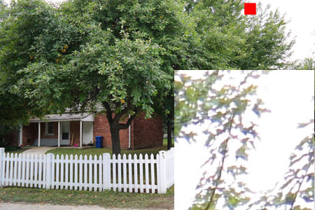 CA (Purple Fringing)