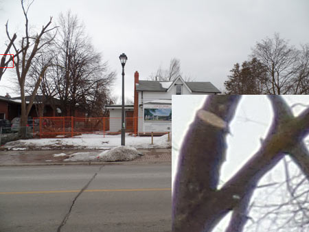 CA (Purple Fringing)