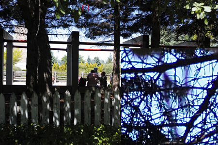 CA (Purple Fringing)